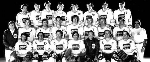 Chicago Cougars 72-73