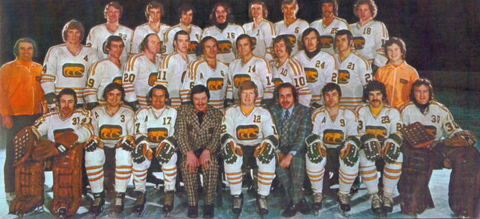 Chicago Cougars 73-74